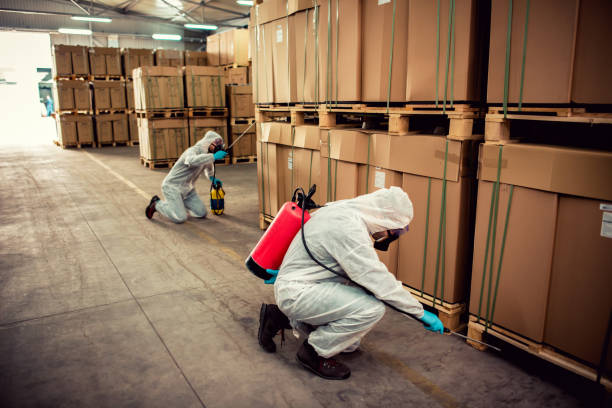 Best Cockroach Control Services  in Elmira, NY