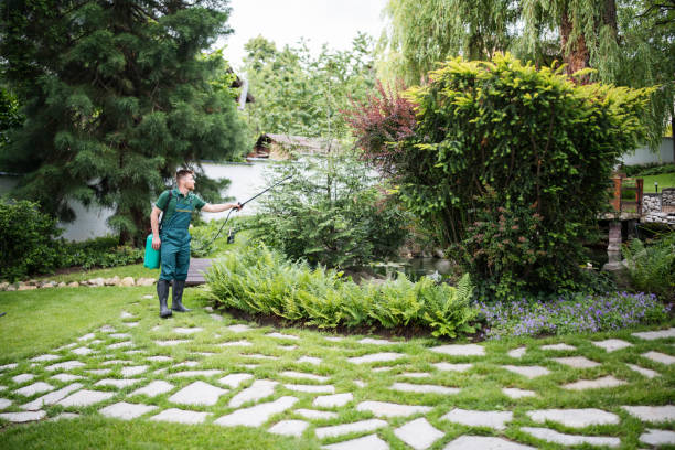 Best Mosquito Control Services  in Elmira, NY