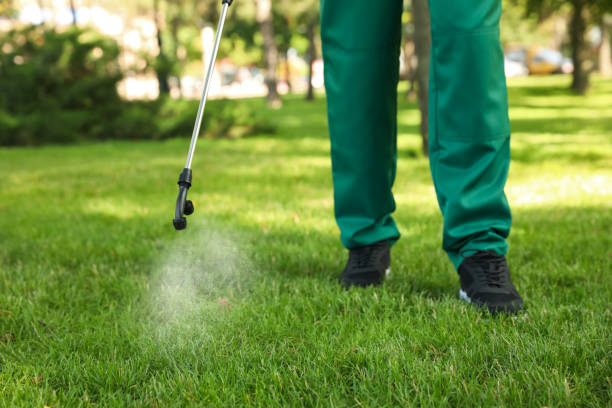 Best Emergency Pest Control  in Elmira, NY