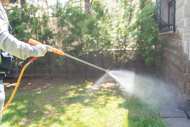 Best Wildlife Control Services  in Elmira, NY