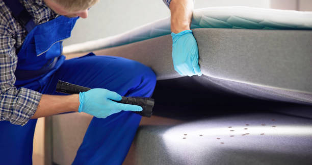 Best Best Pest Control Companies  in Elmira, NY