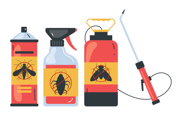Best Termite Control Services  in Elmira, NY