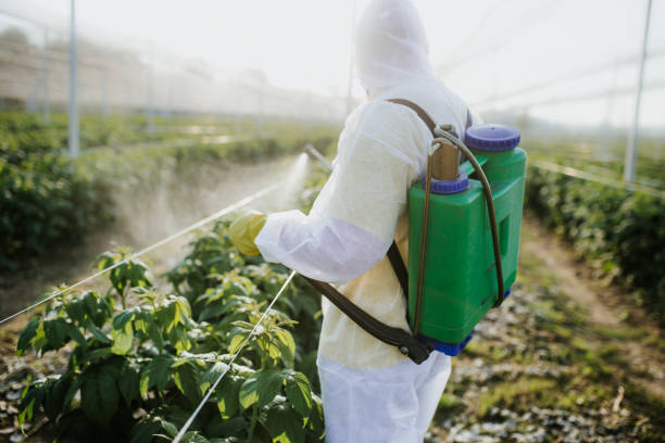  Elmira, NY Pest Control Pros